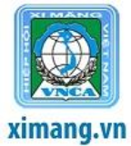 Xi măng.vn
