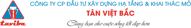 Công ty CP Đầu tư Xây dựng hạ tầng và khai thác mỏ Tân Việt Bắc